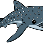 Colorful, completed whale shark drawing used as the featured tutorial image.