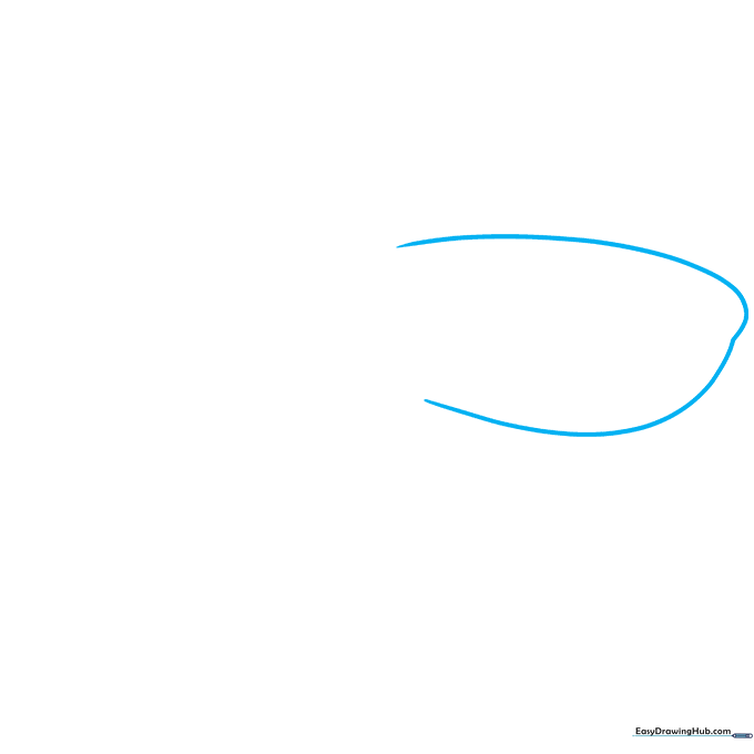 Pencil sketch showing the initial curved outline of a whale shark head on white paper.