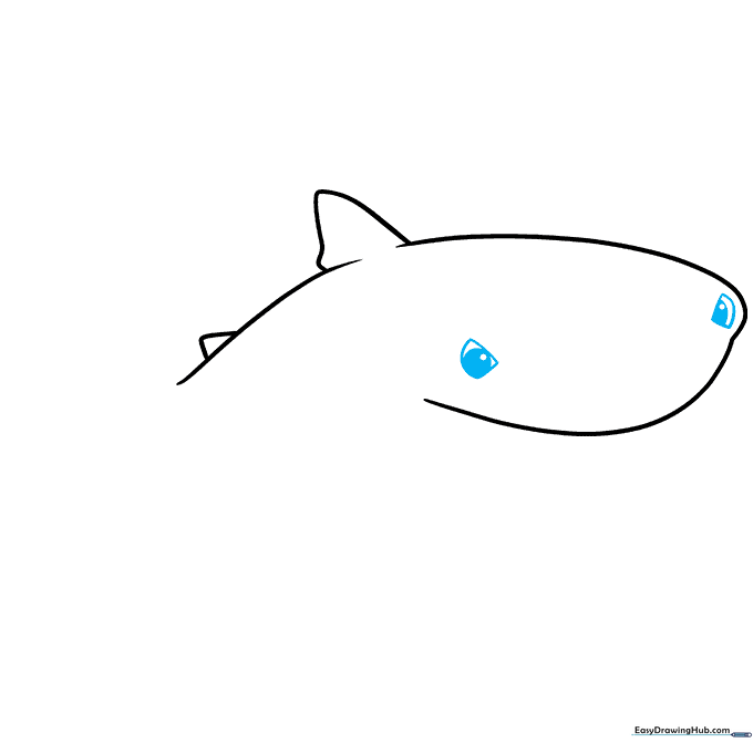 Close-up sketch of a whale shark eye with a shaded pupil.
