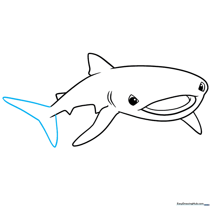 Drawing showing the addition of a large, triangular tail fin at the end of the body.