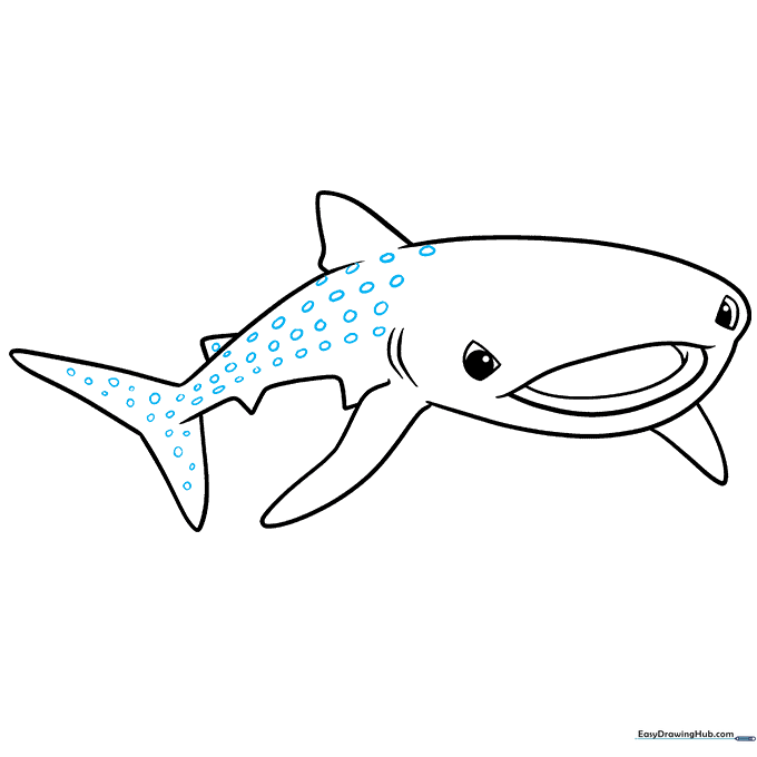 Sketch showing the addition of small, circular spots along the shark's back.