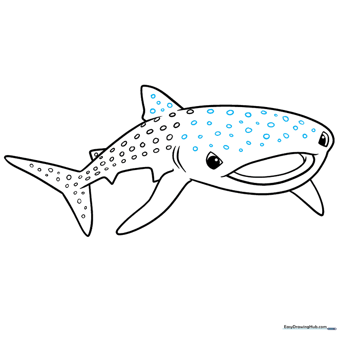 Finalized line art of the whale shark with all spots and details added.