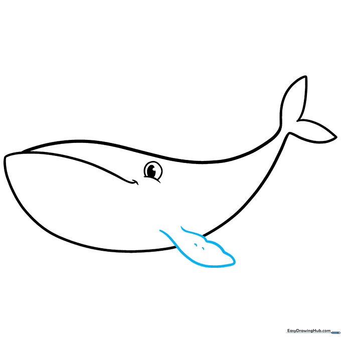 Drawing a leaf-shaped pectoral fin on the side of the whale's body.