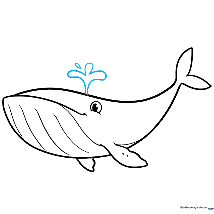 Drawing a water spout erupting from the top of the whale's head.
