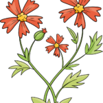 A vibrant, finished illustration of a wildflower, showcasing the final result of the tutorial.