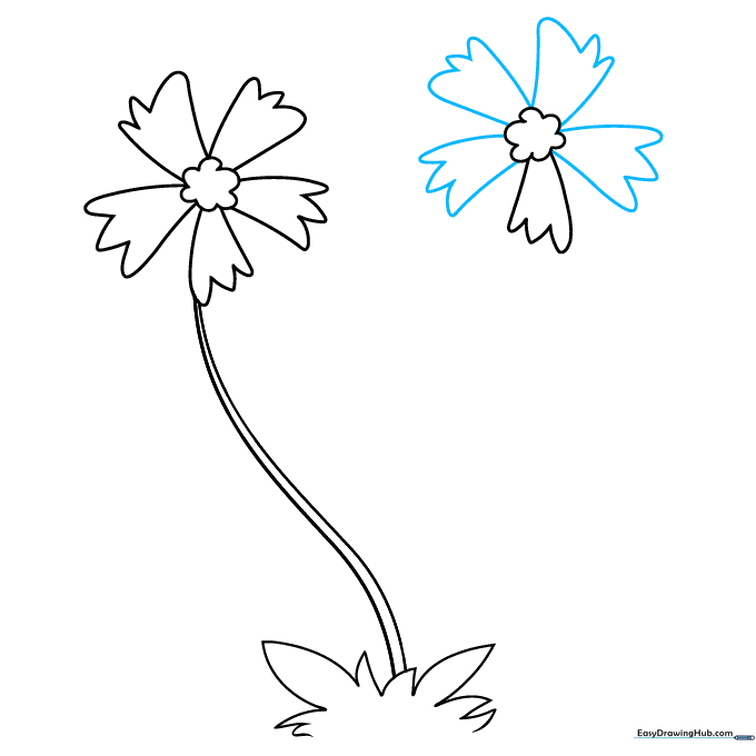 Drawing showing the second flower with five jagged petals added.
