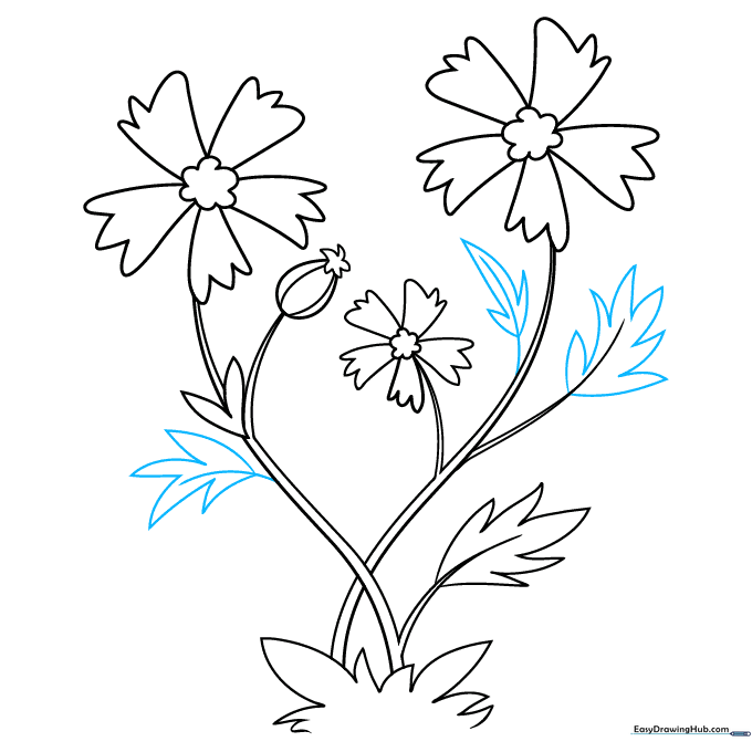 Drawing showing leaves with central veins added for texture.