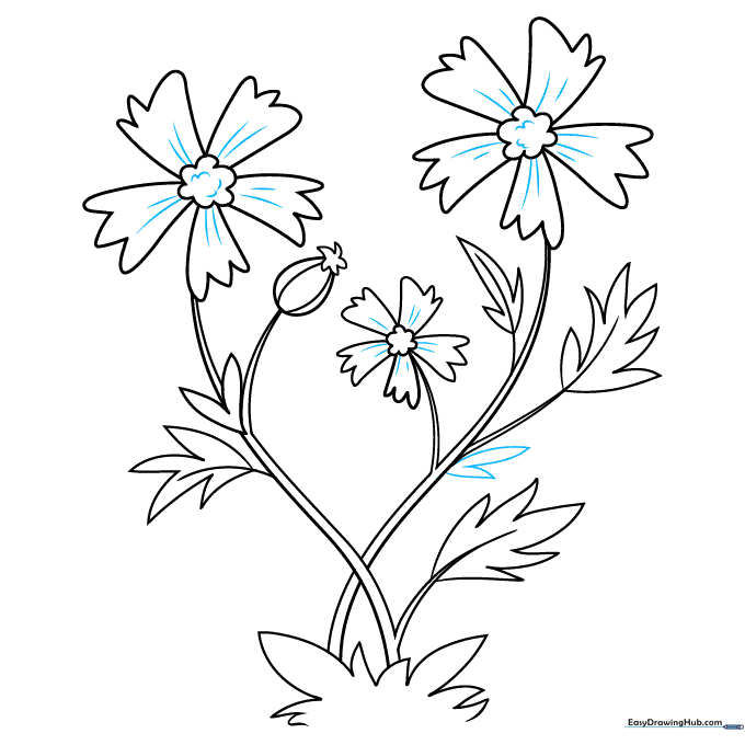 Drawing showing the final details added to the flower centers and stems.