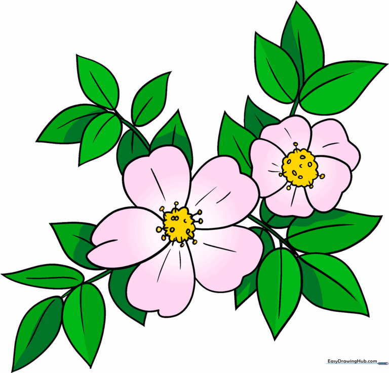 A beautifully colored illustration of a wild rose, showcasing the final result of the tutorial.