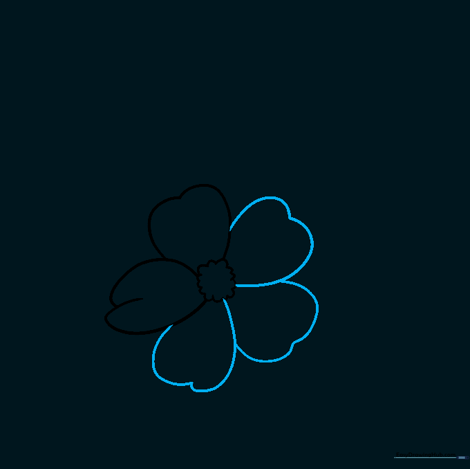 Pencil sketch showing the first two petals of a wild rose with indented outer edges.