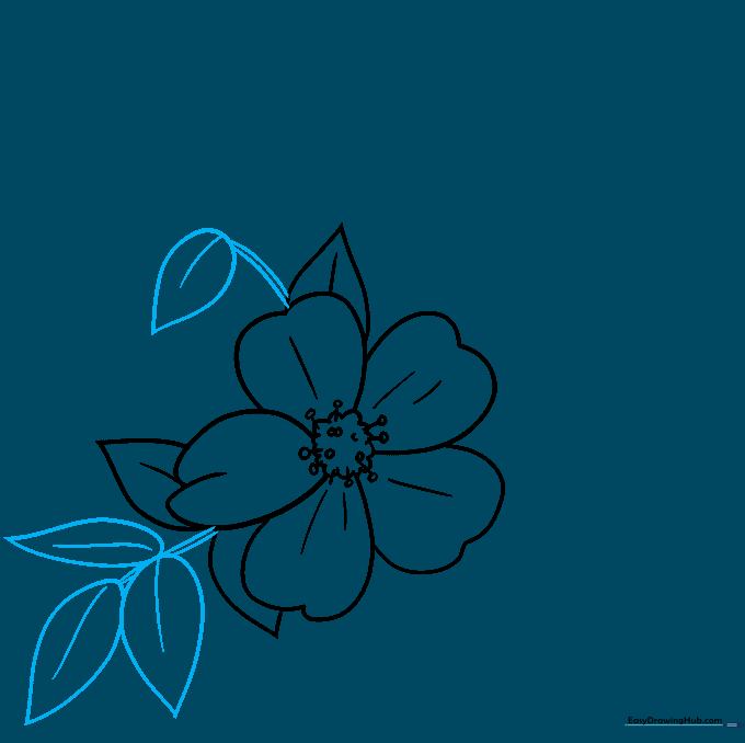 Pencil sketch showing a curved stem extending from the flower with attached teardrop-shaped leaves.