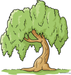 A completed, vibrant drawing of a willow tree, showcasing the final result of the tutorial