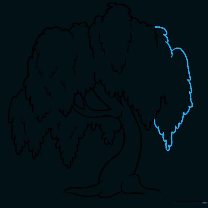 Finalizing the outline of the willow tree drawing