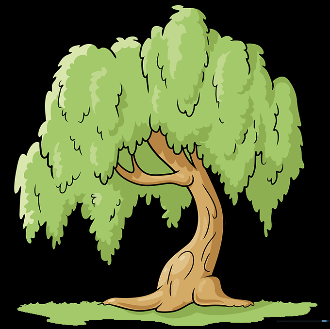 Final colored illustration of a cartoon willow tree