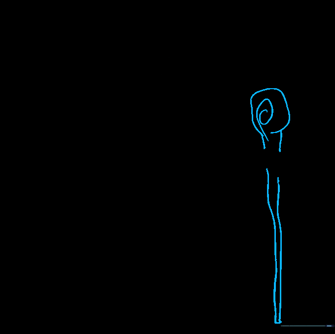 Wizard holding a long, spiraled magical staff.