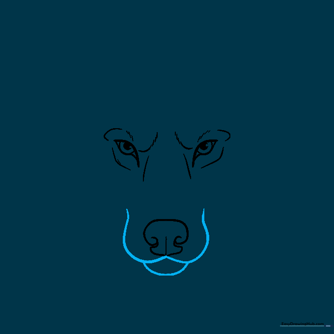 Drawing the wolf snout using a wide W-shape and a curved line for the mouth area.