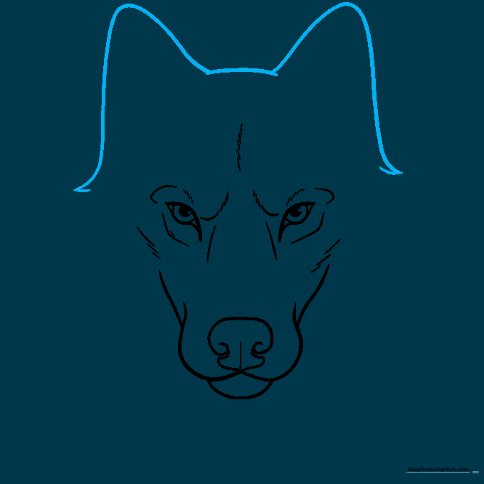 Outlining the wolf ears as rounded triangles on top of the head.