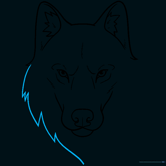 Drawing the outer fur of the wolf using jagged, flame-like lines.