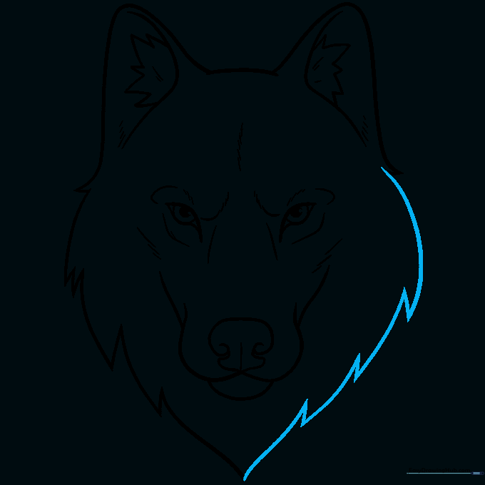 Completing the wolf head outline with fur texture on both sides.