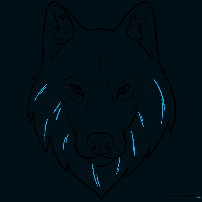 Final ink outline of the wolf face with added texture marks.