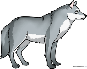 A high-quality, finished drawing of a wolf standing, used as the tutorial cover.