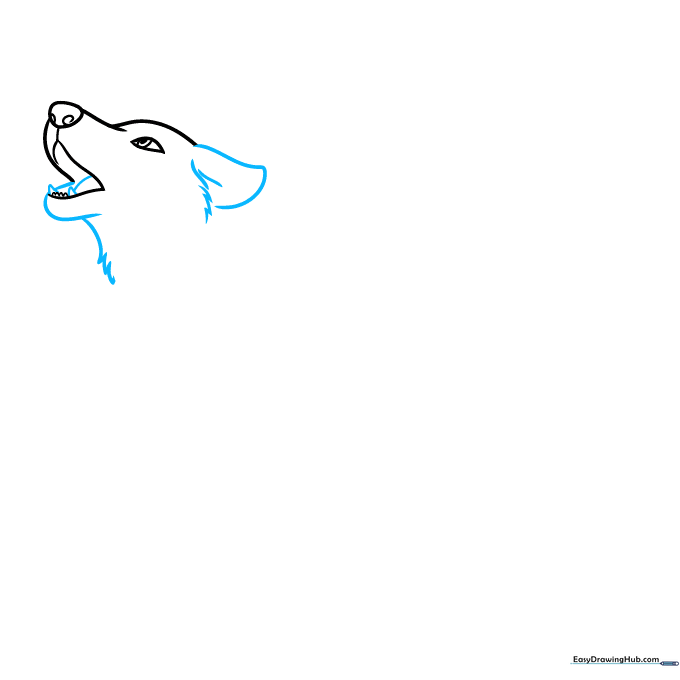 Drawing the wolf's ear and neck fur using jagged, short pencil strokes to simulate texture.