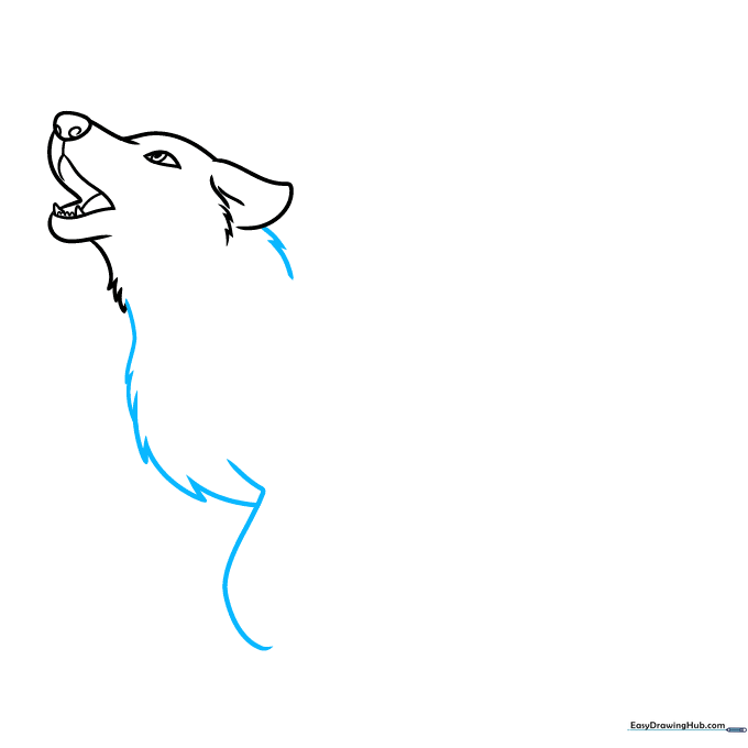 Sketching the wolf's chest and the beginning of the front leg with jagged fur lines.