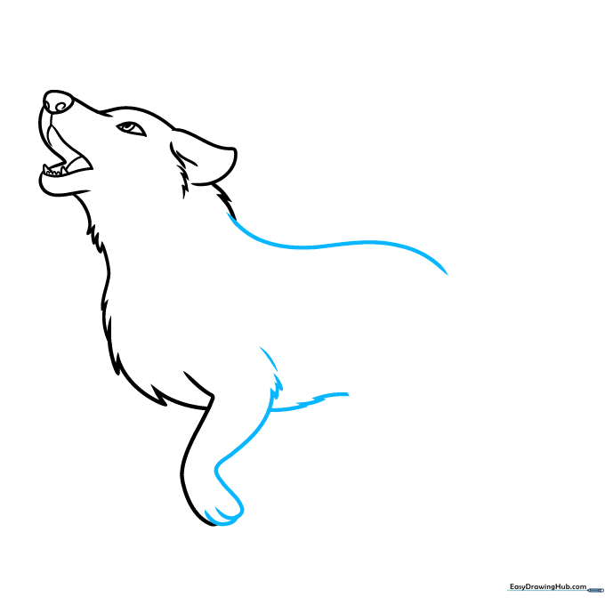 Drawing the wolf's back, rump, and belly, emphasizing the lean, furry silhouette.