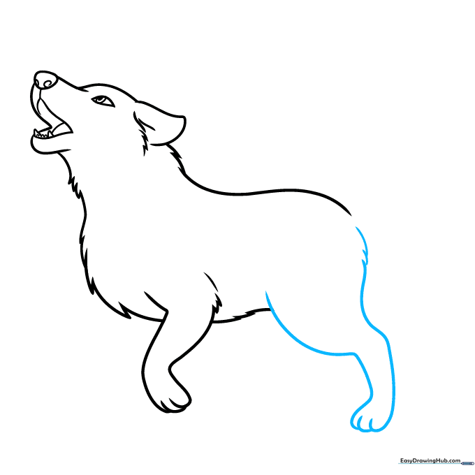 Adding the rear leg of the wolf with detailed fur texture and paw structure.