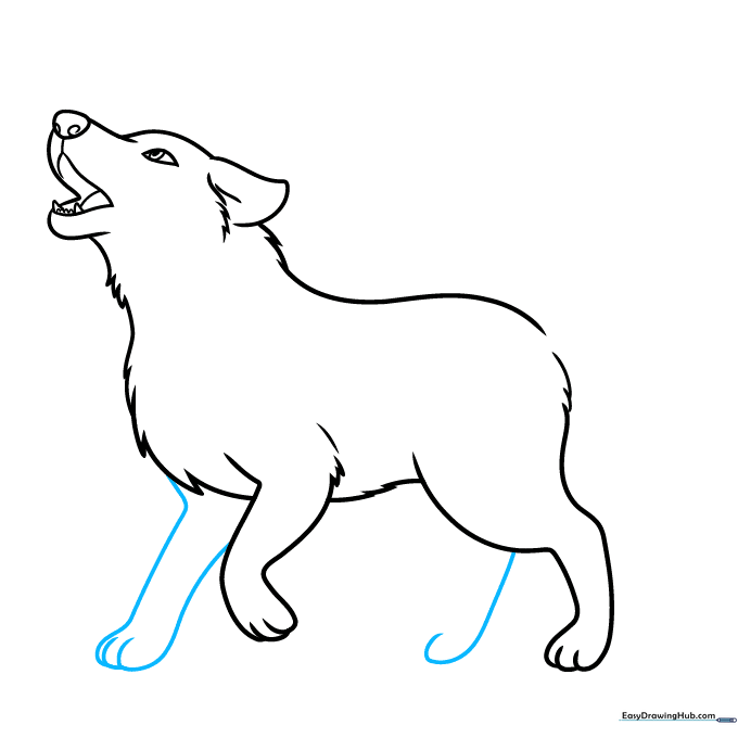 Adding the far-side legs to the wolf drawing to complete the four-legged stance.