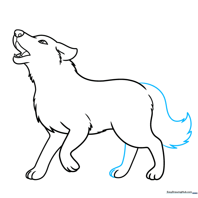 Drawing a large, bushy wolf tail using jagged lines to represent thick fur.