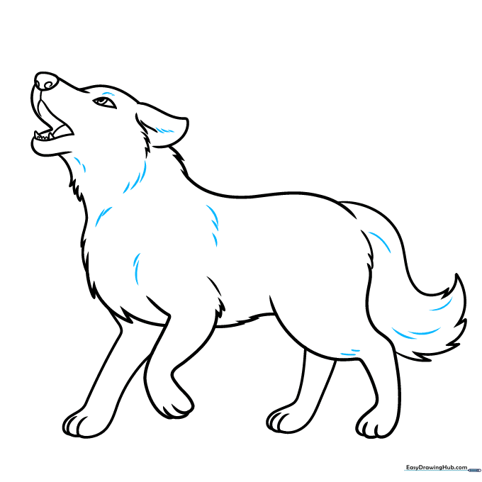 Adding final fur texture details to the wolf's body with short, rhythmic pencil strokes.
