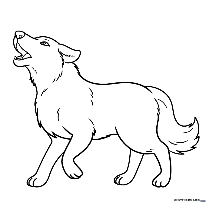 A finished, colored-in cartoon wolf drawing with natural grey and brown fur tones.