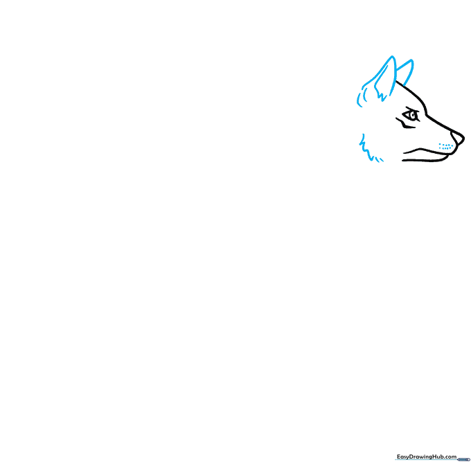 Wolf head outline with pointed ears and jagged fur texture lines.