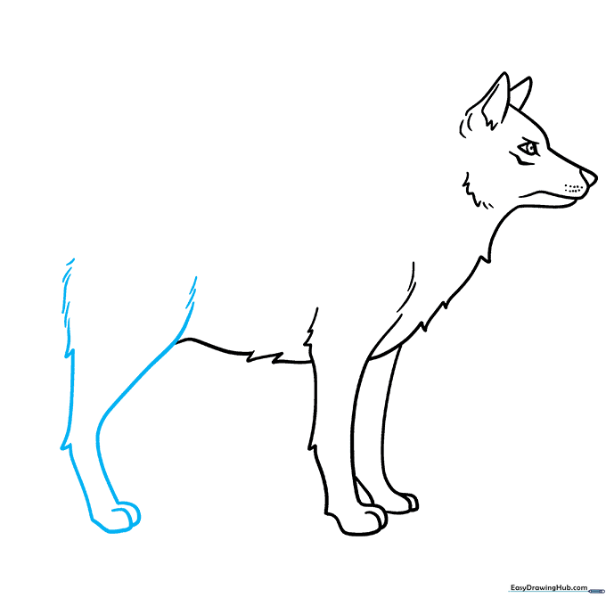 Wolf hind leg sketch with muscular curves and fur texture.