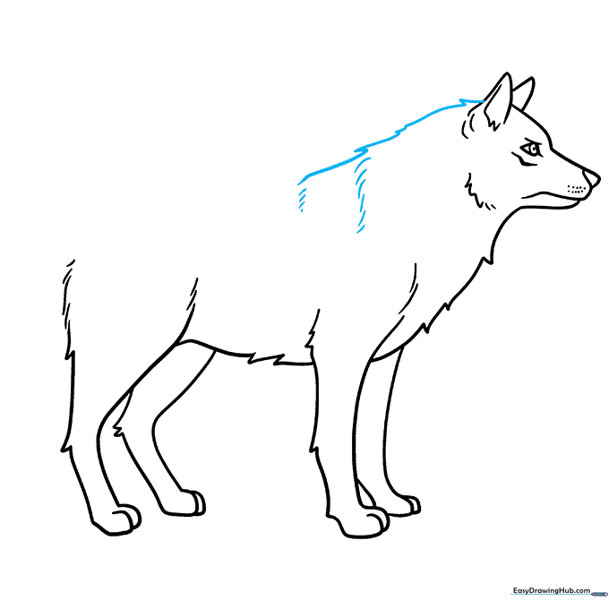Wolf back and shoulder detail with fur texture lines.