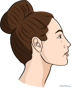 A clean, colored illustration of a woman's side profile, showcasing the final result of the tutorial.
