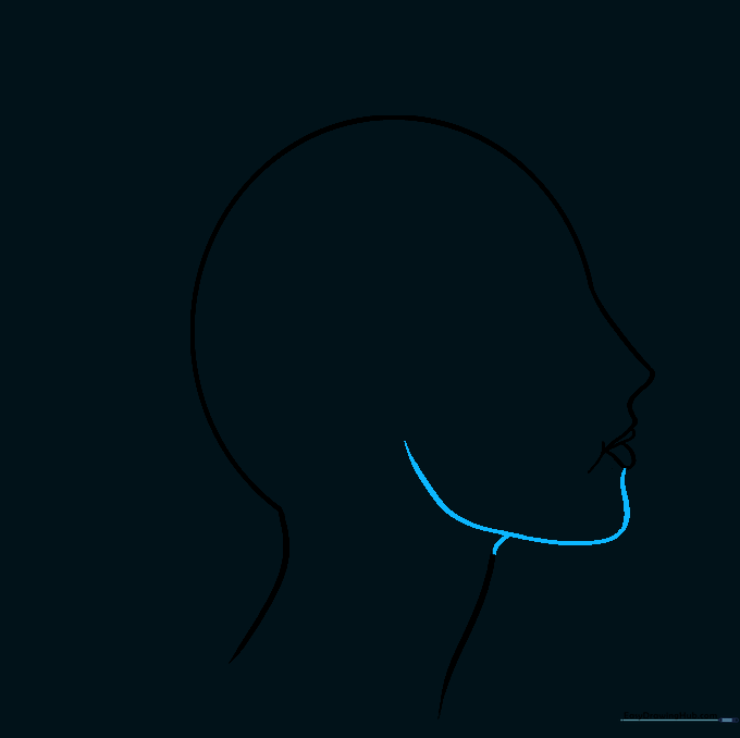 The jawline refined into a smooth, continuous curve.