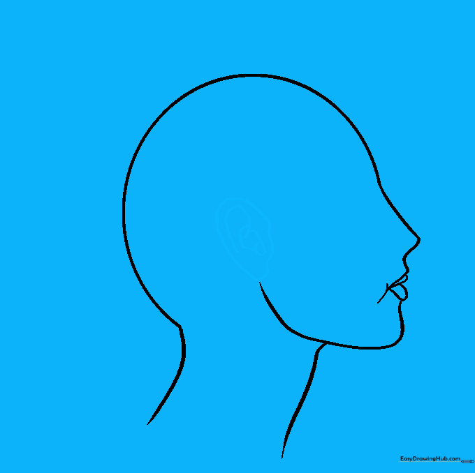 A detailed ear added to the side of the head profile.