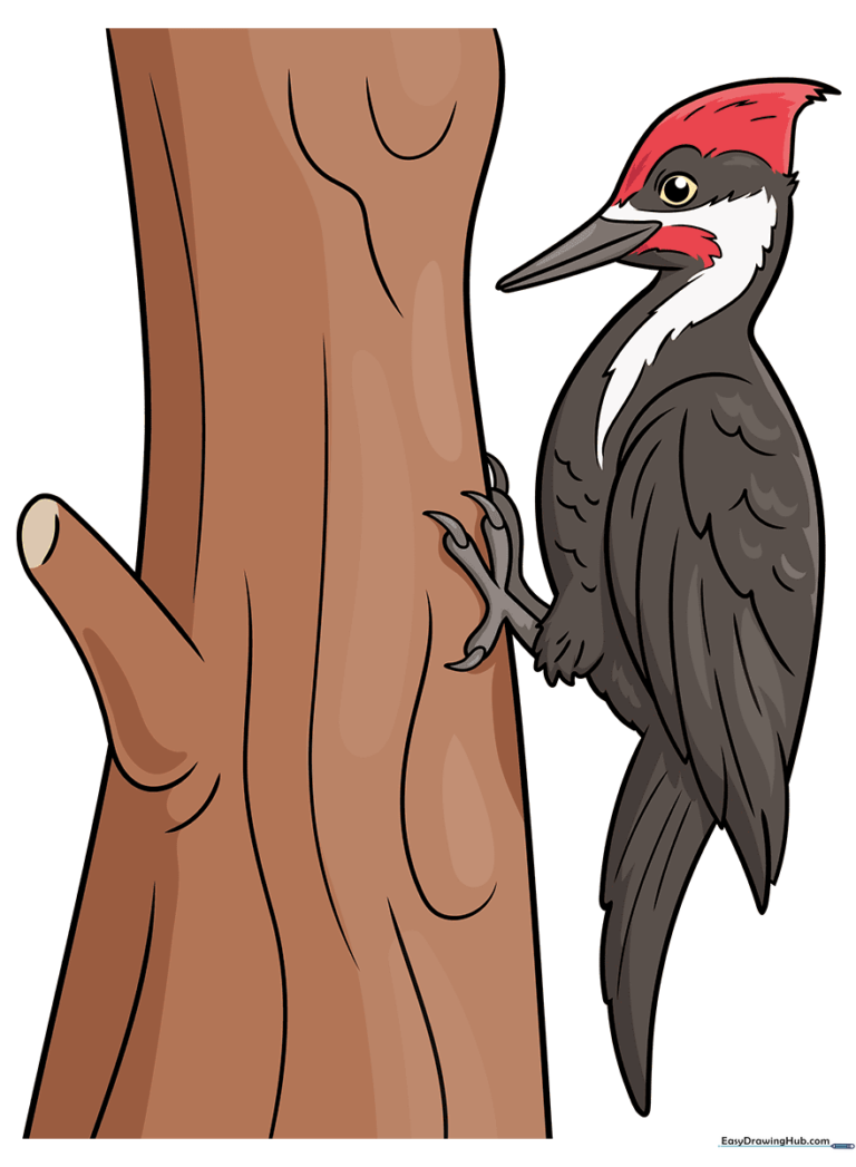 A vibrant, finished drawing of a woodpecker perched on a tree, perfect for kids.