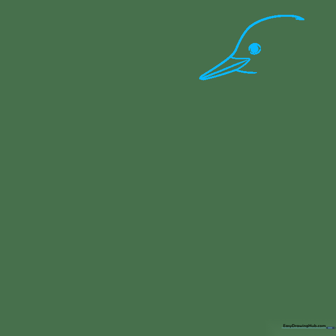 Line drawing of a woodpecker head showing the beak and eye placement.