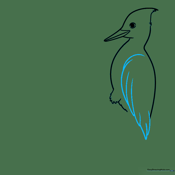 Detailed sketch of the woodpecker's wing using overlapping curved lines.