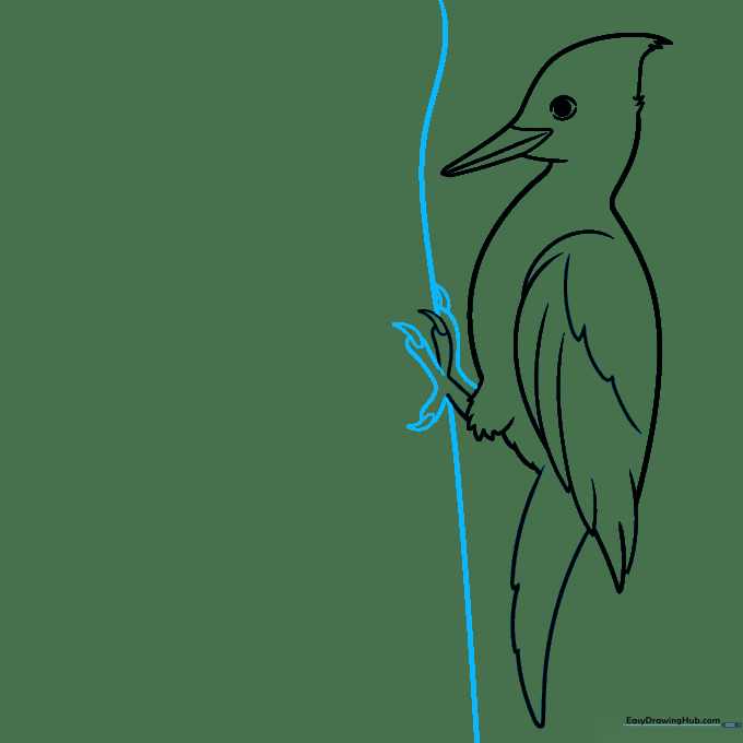Woodpecker perched on a tree trunk illustrated with a curved line.