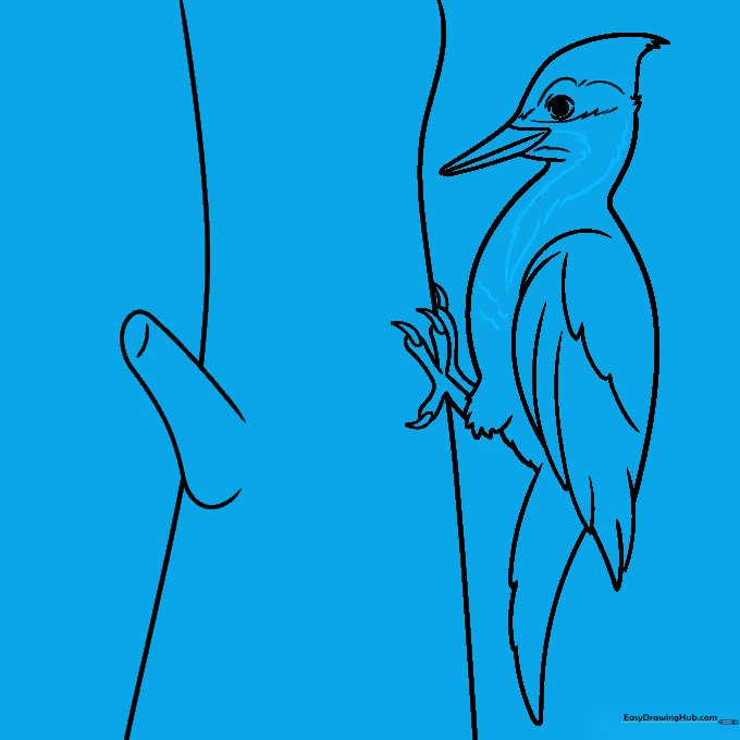 Adding feather texture to the woodpecker's chest and neck area.