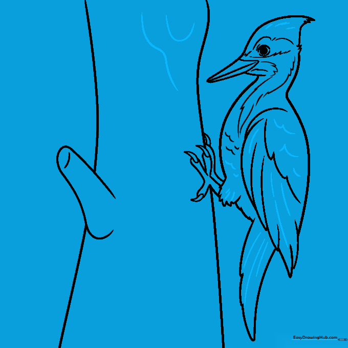 Refining the drawing by adding texture to the wings, tail, and tree bark.