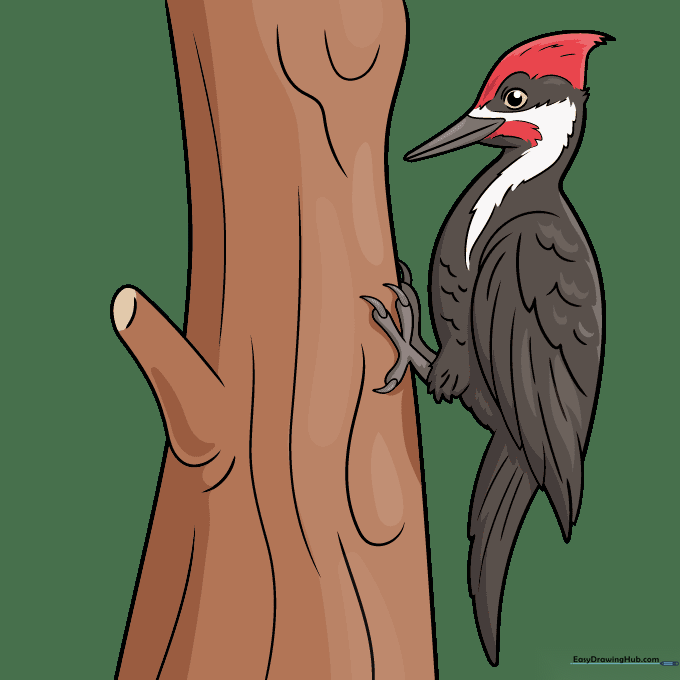 A fully colored cartoon woodpecker with a bright red crest.