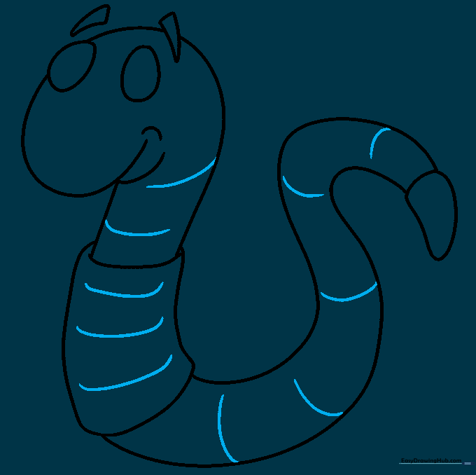 Curved lines drawn across the worm's body to indicate segments.