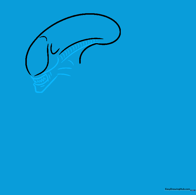 Detailed sketch showing the Xenomorph jawline and sharp, zigzag teeth.
