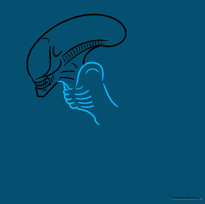 Drawing the Xenomorph torso with visible rib cage structure using overlapping curved lines.