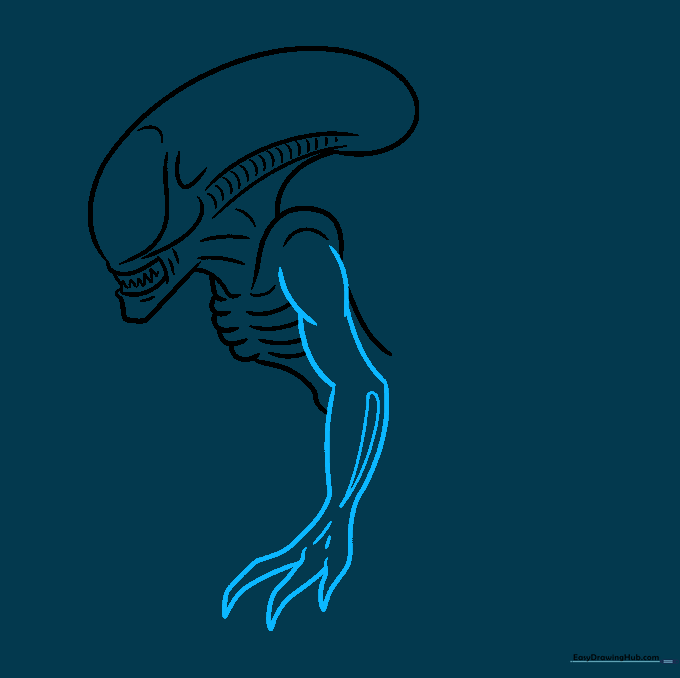 Detailed sketch of the Xenomorph's muscular arm and three-fingered hand.
